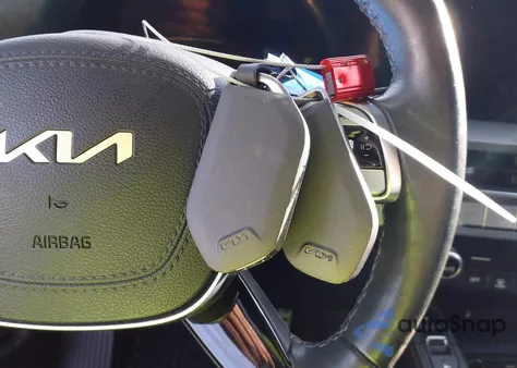 2024 Kia Telluride Sx Prestige X-Line z USA, uszkodzony, nr VIN 5XYP5DGC2RG446259